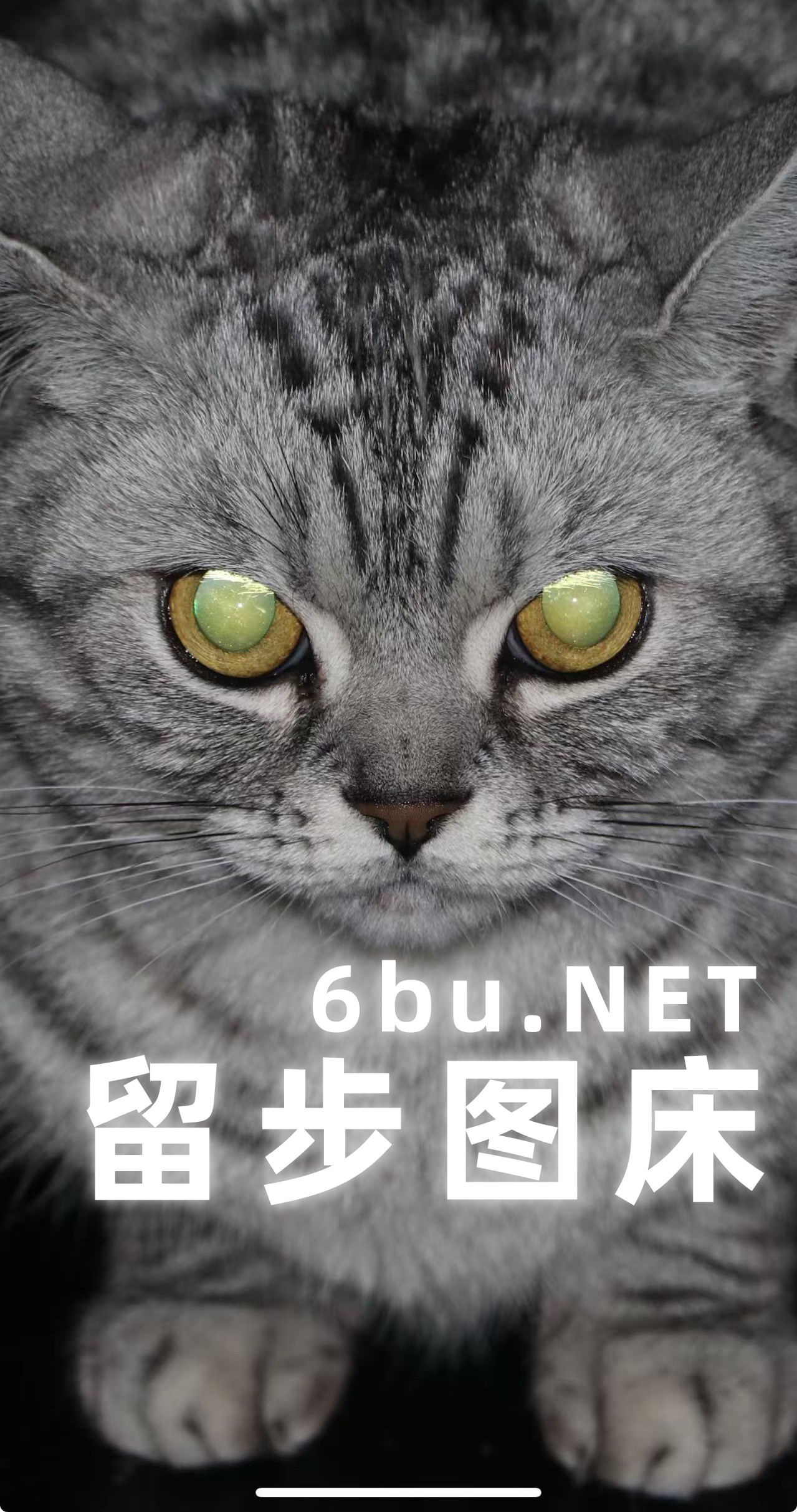 點(diǎn)擊圖片訪問網(wǎng)站